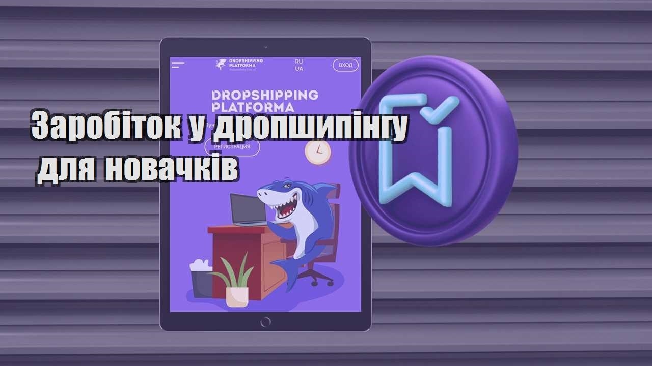 zarobitok u dropshypingu dlya novachkiv