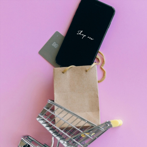Platforma pro e-commerce: Rozkvět vašeho podnikání